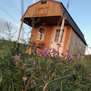 Montana Old West Cabins Pension Babb Buitenkant foto